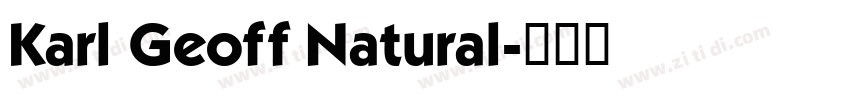 Karl Geoff Natural字体转换